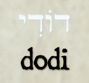 dodi